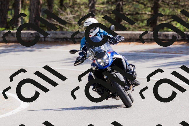 202509131307-_04A8131_c3