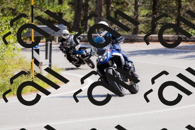 202509131307-_04A8132_c3