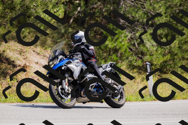 202509131307-_04A8136_c3