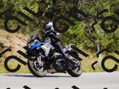 202509131307-_04A8136_c3