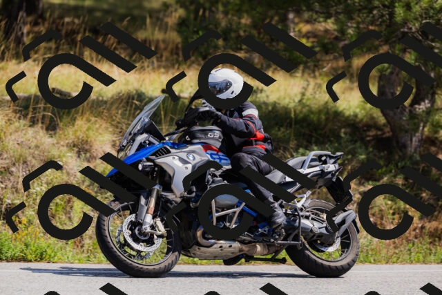 202509131307-_04A8137_c3