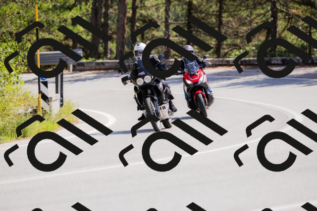 202509131307-_04A8138_c3