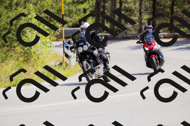 202509131307-_04A8139_c3