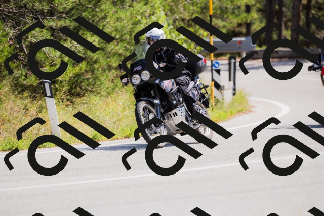 202509131307-_04A8140_c3