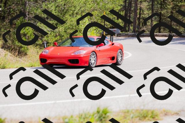 202509131308-_04A8146_c3