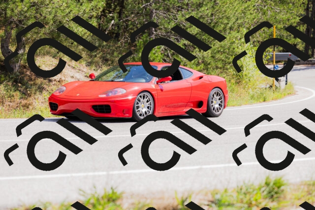 202509131308-_04A8147_c3