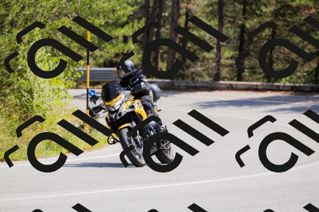 202509131308-_04A8152_c3