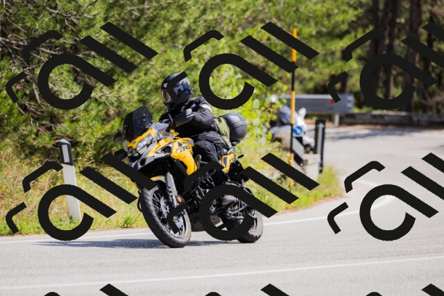 202509131308-_04A8153_c3