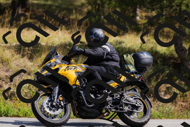 202509131308-_04A8155_c3