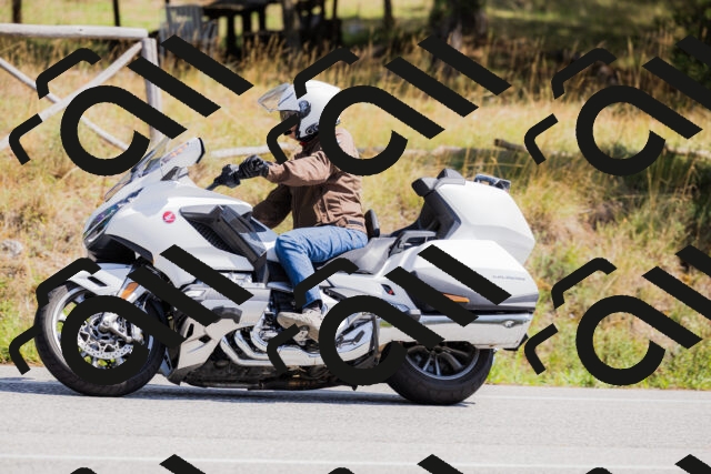 202509131308-_04A8159_c3