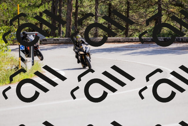 202509131309-_04A8160_c3