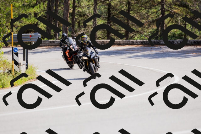 202509131309-_04A8161_c3