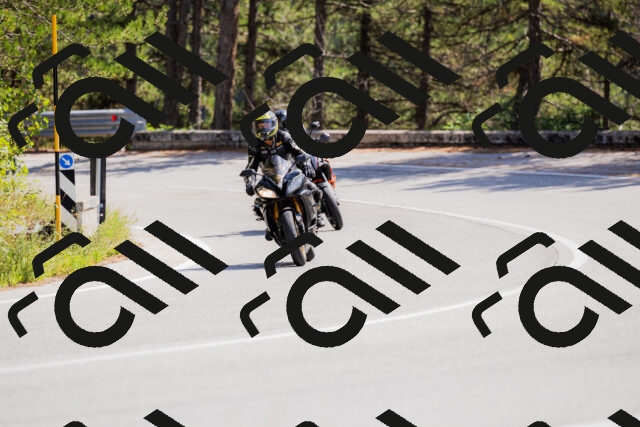 202509131309-_04A8162_c3