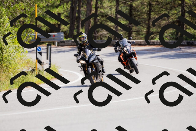 202509131309-_04A8163_c3