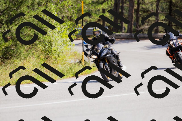 202509131309-_04A8164_c3