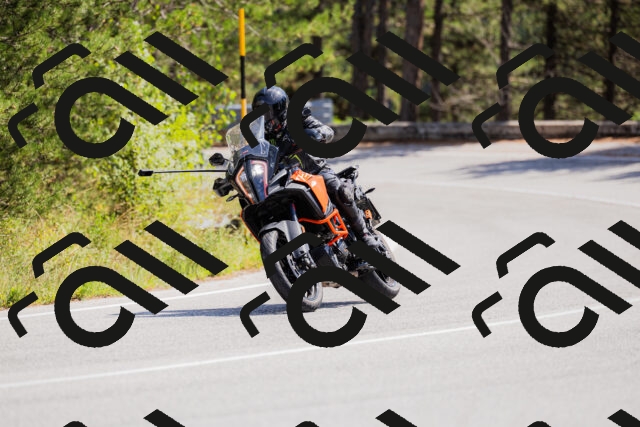 202509131309-_04A8165_c3