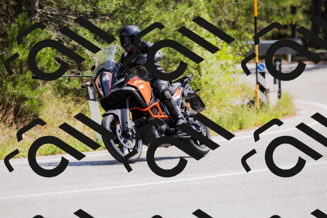 202509131309-_04A8166_c3