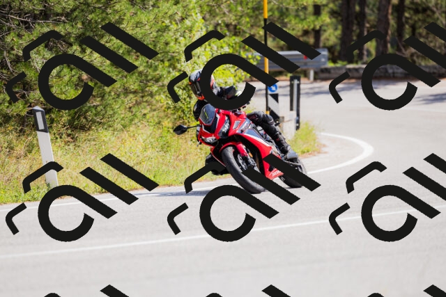 202509131310-_04A8167_c3