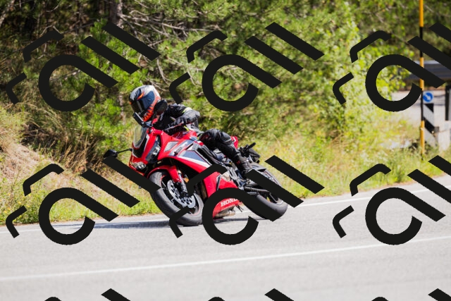 202509131310-_04A8168_c3