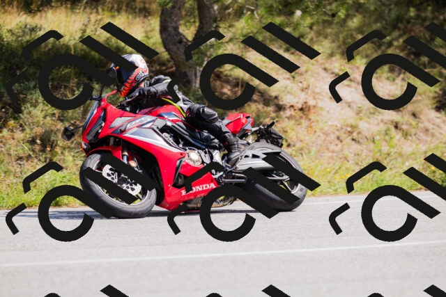 202509131310-_04A8169_c3