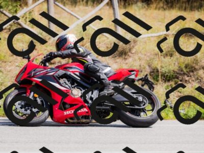 202509131310-_04A8170_c3