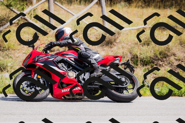 202509131310-_04A8170_c3