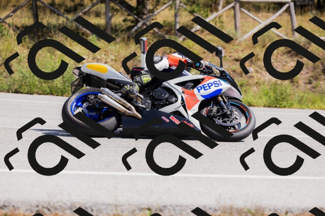 202509131310-_04A8175_c3