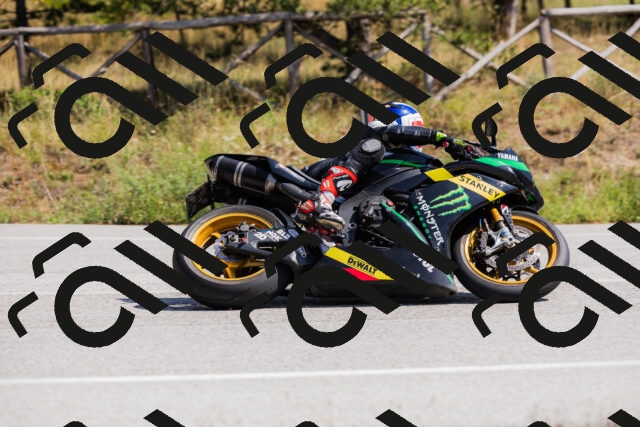 202509131310-_04A8177_c3