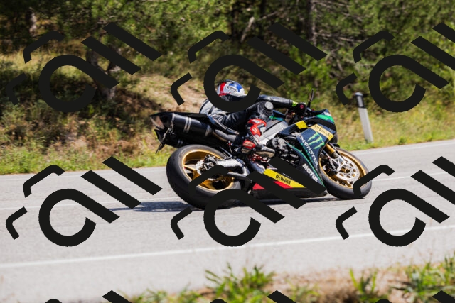 202509131310-_04A8178_c3