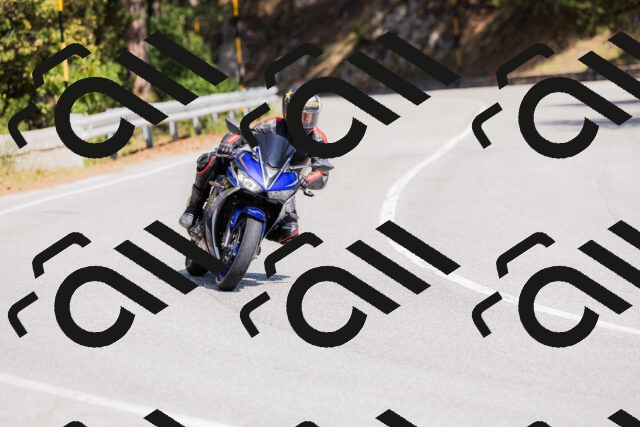 202509131312-_04A8188_c3