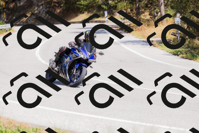 202509131312-_04A8189_c3