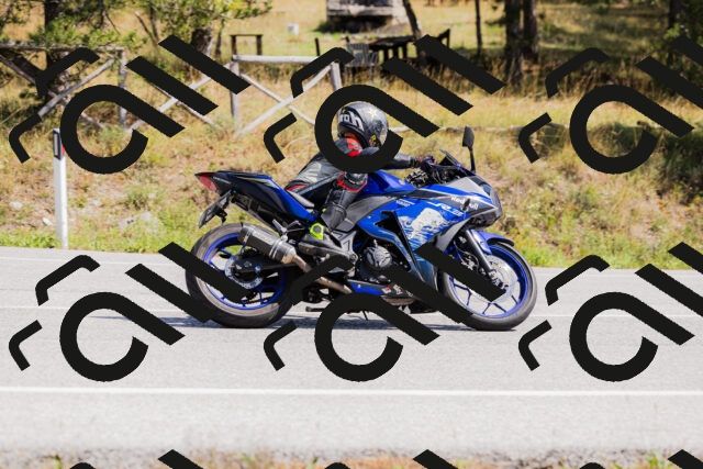 202509131312-_04A8192_c3