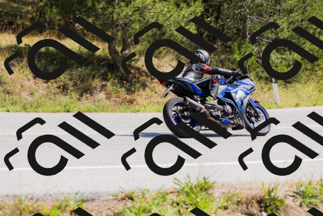 202509131312-_04A8193_c3