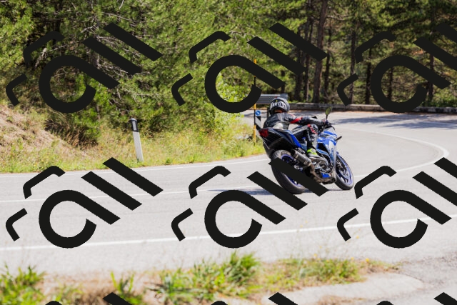 202509131312-_04A8194_c3