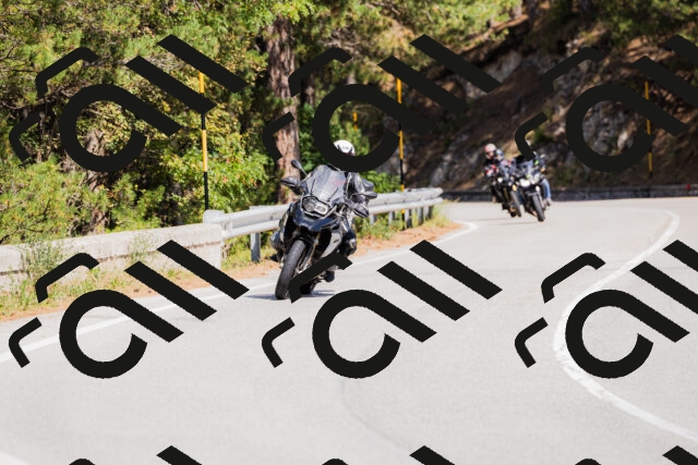 202509131312-_04A8196_c3