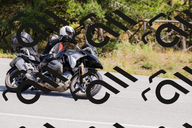 202509131312-_04A8200_c3