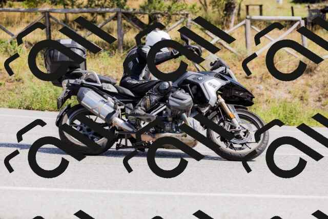 202509131312-_04A8201_c3