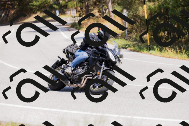 202509131312-_04A8202_c3