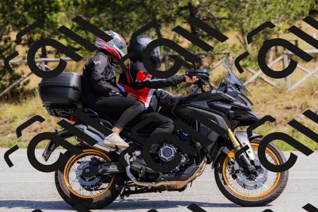 202509131312-_04A8205_c3