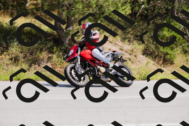 202509131313-_04A8212_c3