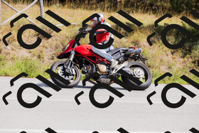 202509131313-_04A8213_c3