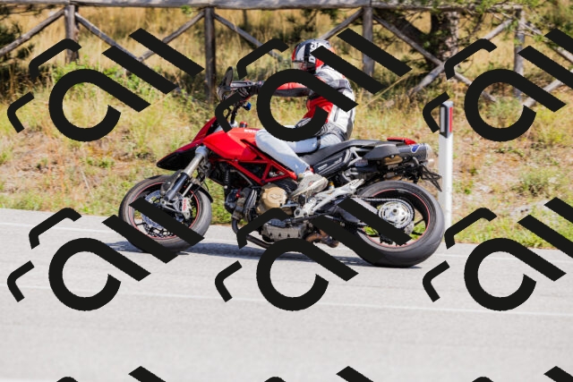 202509131313-_04A8214_c3