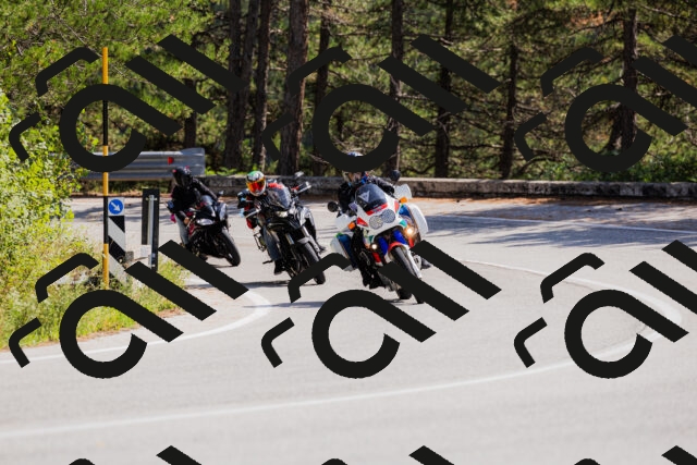 202509131314-_04A8215_c3