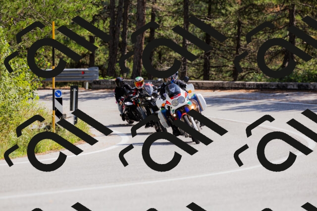 202509131314-_04A8216_c3