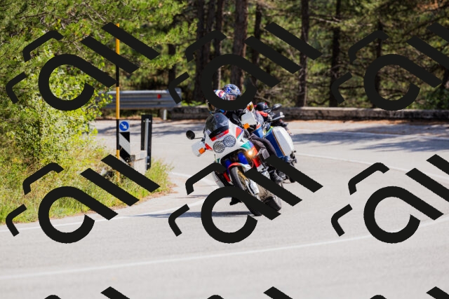 202509131314-_04A8217_c3