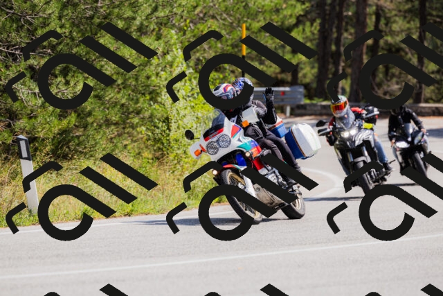 202509131314-_04A8218_c3