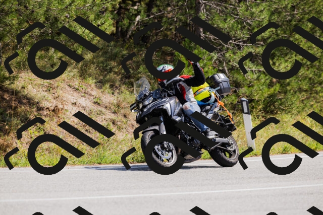 202509131314-_04A8220_c3