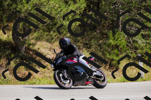 202509131314-_04A8221_c3