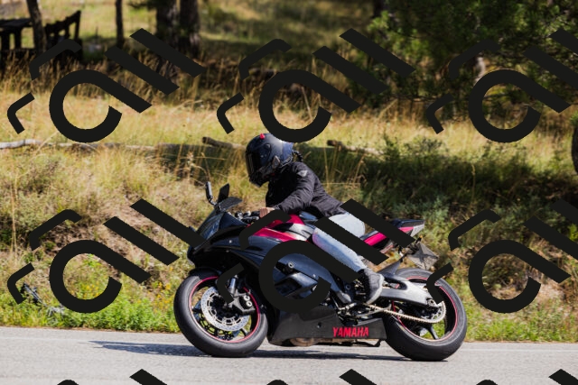 202509131314-_04A8222_c3