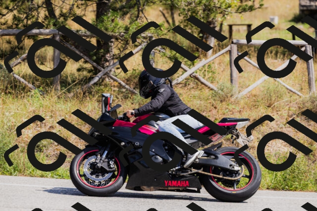 202509131314-_04A8223_c3